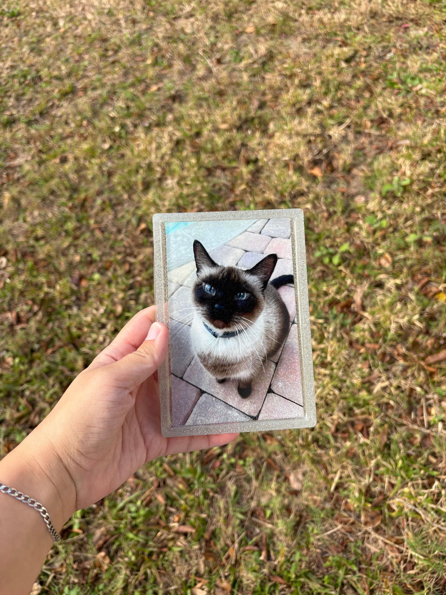 Custom Picture Frame/Tray