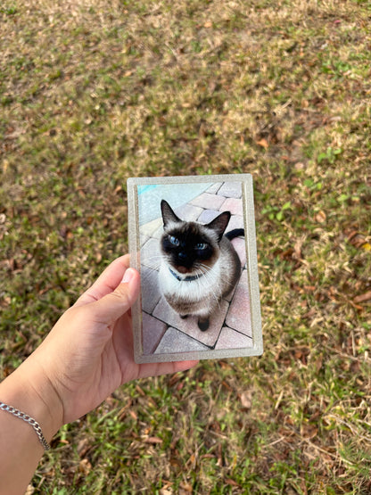 Custom Picture Frame/Tray