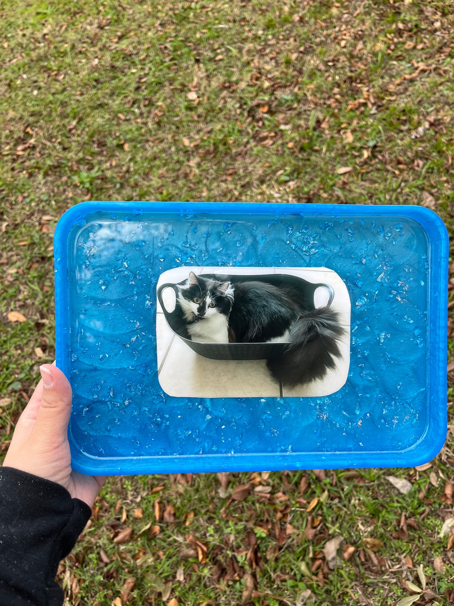 Custom Large Tray