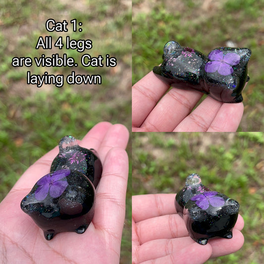 Custom Cat 1