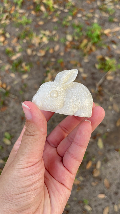 Custom Rabbit Figurines